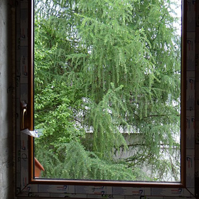 Demo Image